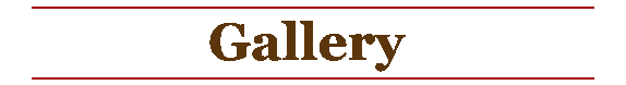 The Pflix Gallery